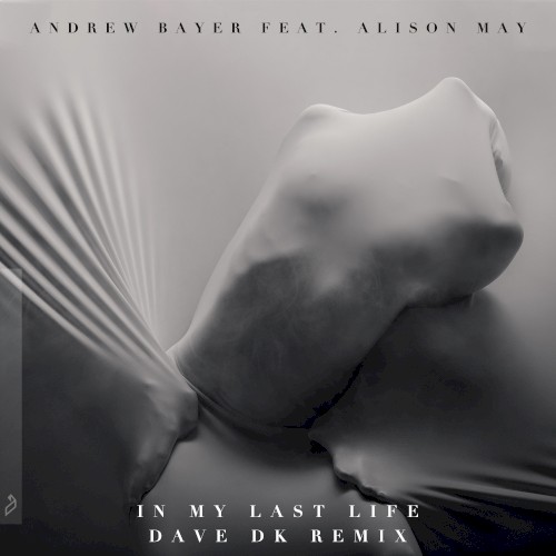 In My Last Life (Dave DK remix)