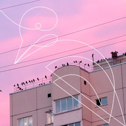 нету будней
