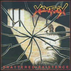 Shattered Existence