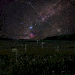 Deneb