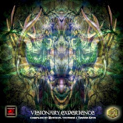 Visionary Experience