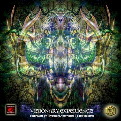 Visionary Experience