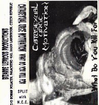 What Do You Kill For / Spasm of Extinction