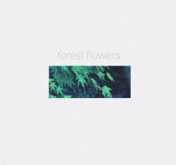 forest flowers