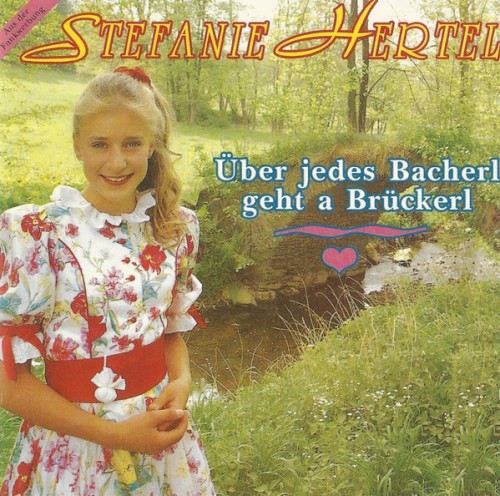 Über jedes Bacherl geht a Brückerl