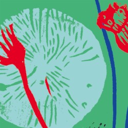 Flowers VIII