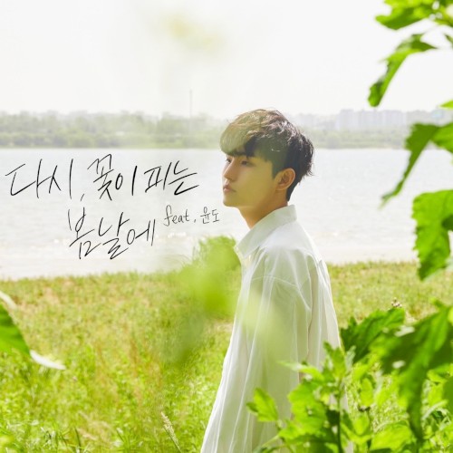 다시,꽃이 피는 봄날에