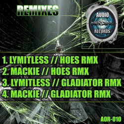 Gladiator Vs Hoes