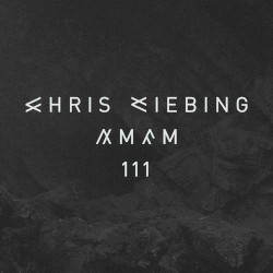 AM/FM 111