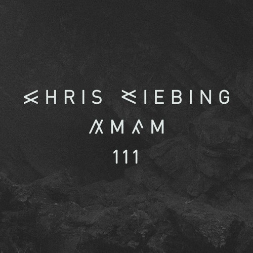 AM/FM 111