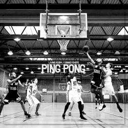Ping Pong