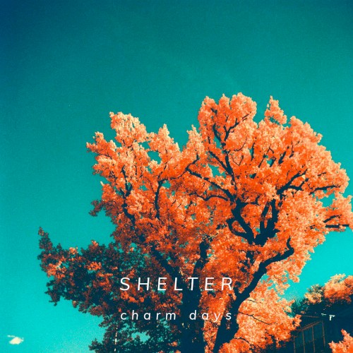 Shelter