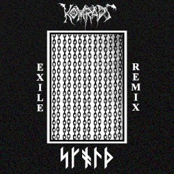 Exile (Skold remix)