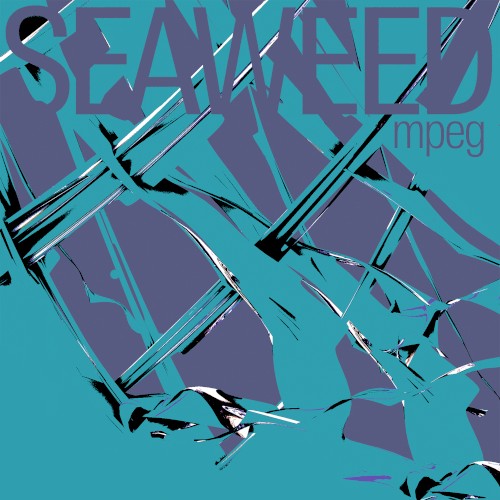 Seaweed