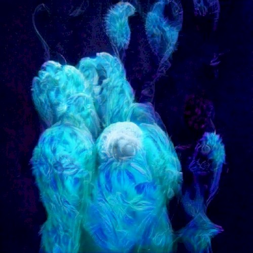 cylces 4