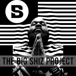 The Big Shiz Project