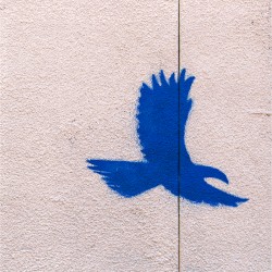 The Wall