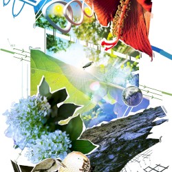 ALTITUDE03