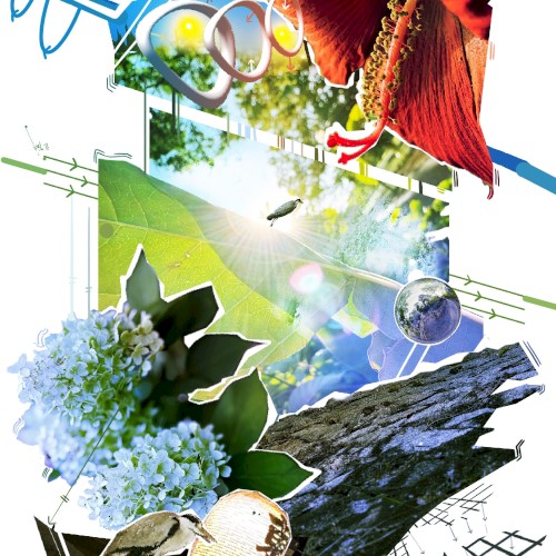 ALTITUDE03
