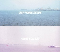 What You Say