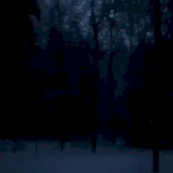 dark snowy night