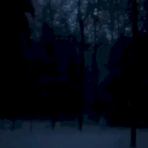 dark snowy night