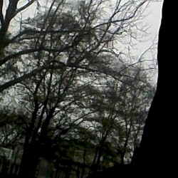 Angst