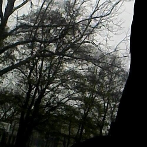 Angst