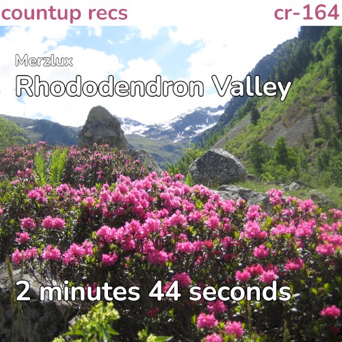 Rhododendron Valley