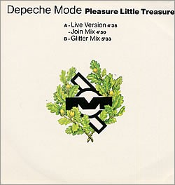 Pleasure Little Treasure