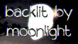 backlit by moonlight.