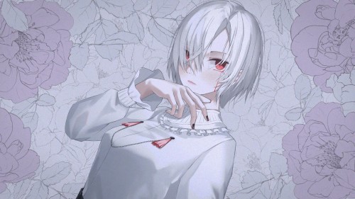 白日夢