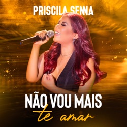 Não Vou Mais Te Amar