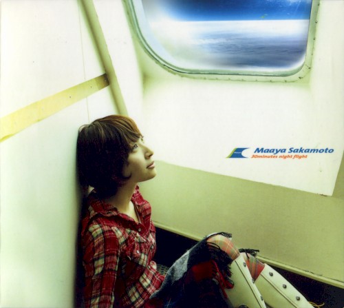 30minutes night flight
