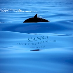 Blue Dolphin Blue