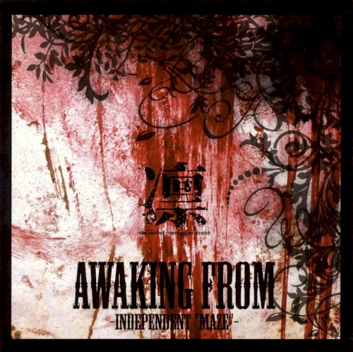 AWAKING FROM -INDEPENDENT “MAZE”-