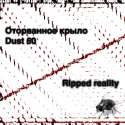 Ripped reality