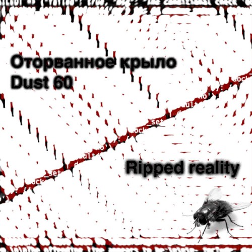 Ripped reality