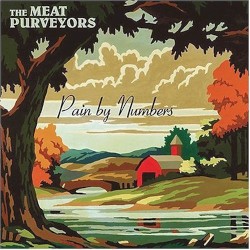 Pain by Numbers