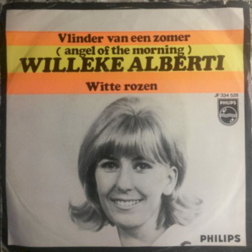 Vlinder van een zomer / Witte rozen