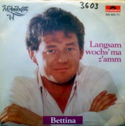Langsam wochs' ma z'amm