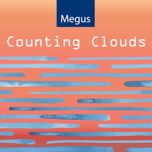 Counting Clouds