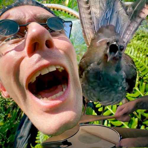 Fly like a bird & be rich