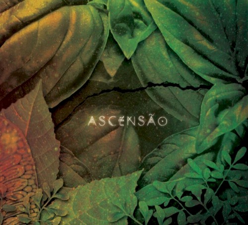Ascenção
