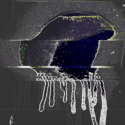 Change My Head