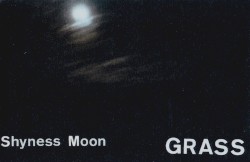 Shyness Moon
