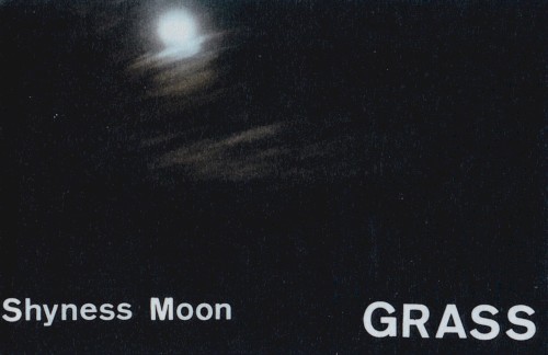 Shyness Moon