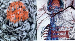 Carnal Diafragma / Bizarre Embalming
