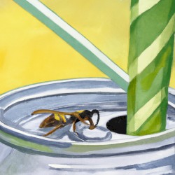 bee in my soda