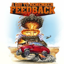 Feedback